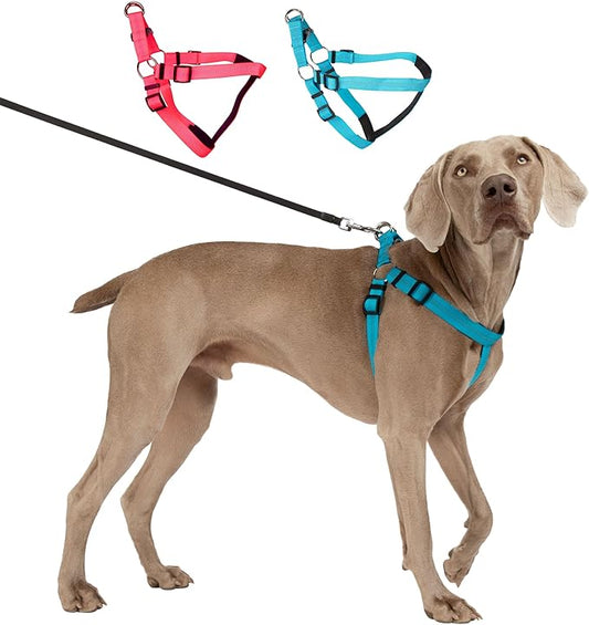 BLAZIN Reflective Dog Harness - 'Color Me Happy!' Adjustable Step-in Reflective Nylon Vest Harness - Neoprene Padded for Extra Comfort (Large, Blue)