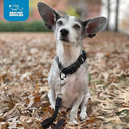 Best Pet Supplies Reflective Dog Collar with Adjustable Length, Heavy-Duty Buckle, and Strong Leash D-Ring, Training, Walking, Jogging Accessory for Small, Medium, and Large Breeds - Black, M