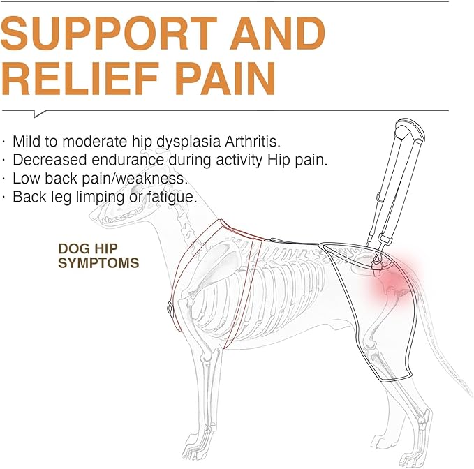 Dog Hip Support Brace - Adjustable Dog Leg Brace for Hip Dysplasia/Arthritis/Pain Relief, Warm & Breathable Luxating Patella Stabilizer, Post-Surgery Recovery(Custom)