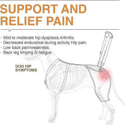 Dog Hip Support Brace - Adjustable Dog Leg Brace for Hip Dysplasia/Arthritis/Pain Relief, Warm & Breathable Luxating Patella Stabilizer, Post-Surgery Recovery(Custom)