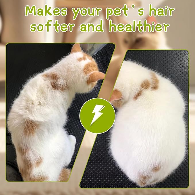 Pet Steamy Brush, White