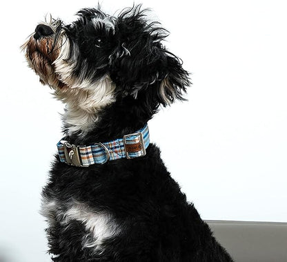 Lionet Paws Boy Dog Collar, Comfortable Adjustable Cute Blue Plaid Collar with Metal Buckle for Male Dogs Gift, Large, Neck 16-24 inches