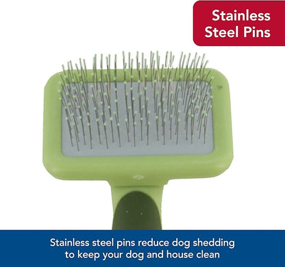 Coastal Pet Safari Dog Soft Slicker Brush - Dog Grooming Brush for Shedding - for Dogs with Short, Medium and Long Hair - Small - 6.5" x 2.5"