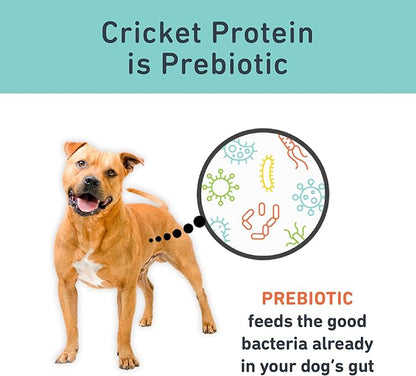 Jiminy's Original Cricket Cookie Dog Treat, Hypoallergenic, 5oz, Peanut Butter & Pumpkin (Pack of 1)