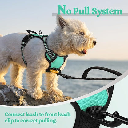 rabbitgoo Dog Harness No Pull with 2 Leash Clips, Adjustable Soft Padded, Reflective Oxford No Choke Pet Vest with Easy Control Handle for Puppy, Turquoise, XS