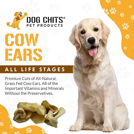 Dog Chits Cow Ears Dog and Puppy Treats - All Natural Grain and Chemical Free Training Chews - High Protein and Low Fat - Supports Dental Health - Made in The USA - 10 Count