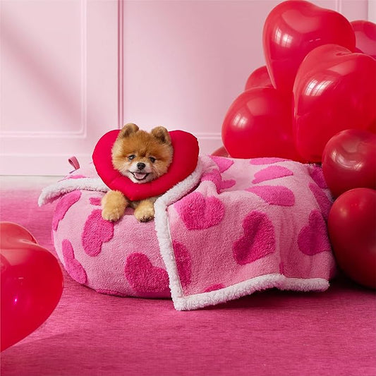 Lesure Waterproof Puppy Blanket for Small Dogs - Washable Double Sided Dog Blankets with Warm Jacquard Shag and Soft Sherpa Fleece, Pet Cat Blanket for Couch Protection, Love Pattern Design，Pink