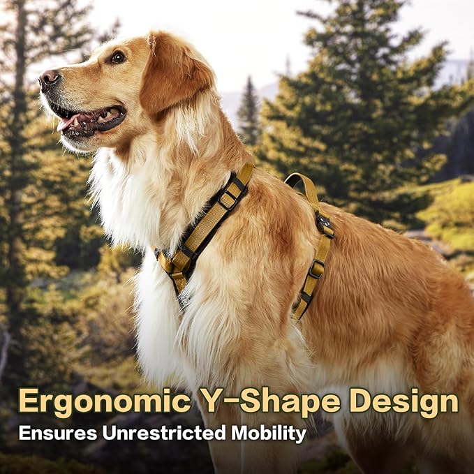 PawsPassion Dog Harness for Medium Dogs, No Pull Dog Harness Easy Walk with Metal Hardware, Ergonomic Y-Shaped Design, Soft Padding, Padded Handle, Durable High-Tensile Nylon (Sunrise, M)