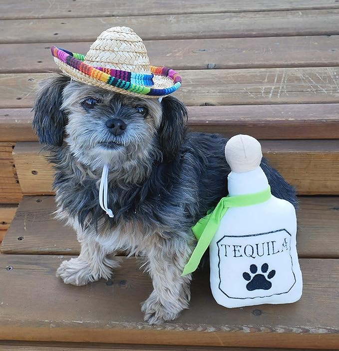 Baja Ponchos 4 Pack Fiesta Dog Chew Toys and Sombrero - Mexican Squeak Plush Toys - Dog Gifts for Chihuahuas - Taco - Tequila - Hot Sauce - for All Breeds