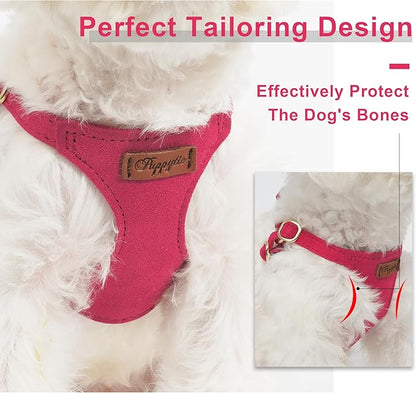 Puppytie No Pull xs Dog Harness with Multifunction Dog Leash,Soft Adjustable No Choke Escape Proof Pet Harness Vest,red,XS