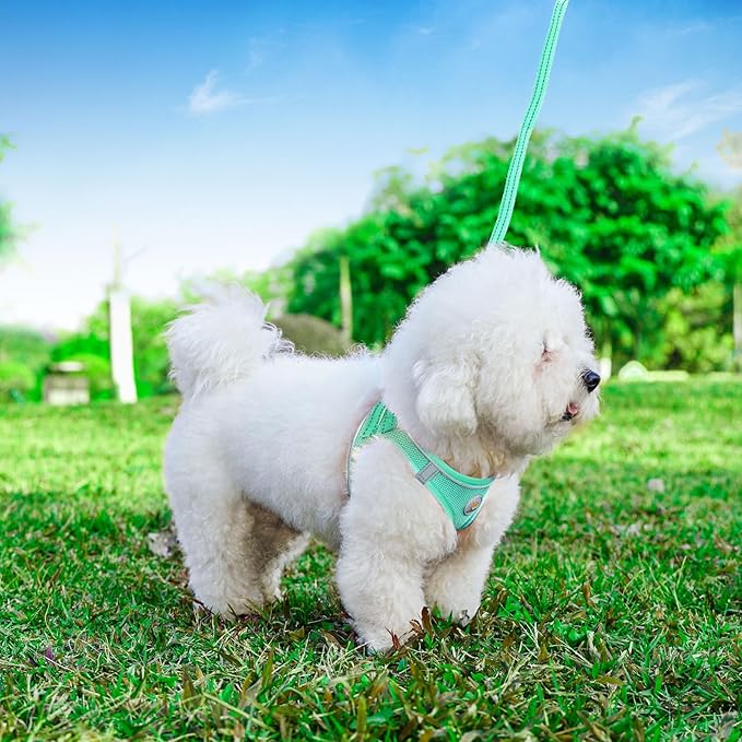 Dog Harness and Leash Set, No Pull Soft Mesh Puppy Harness for Small Medium Dogs, Cats - Step in Reflective Breathable Lightweight Vest Harness for Walking, Training - Green, XS