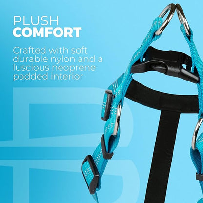 BLAZIN Reflective Dog Harness - 'Color Me Happy!' Adjustable Step-in Reflective Nylon Vest Harness - Neoprene Padded for Extra Comfort (Small, Blue)