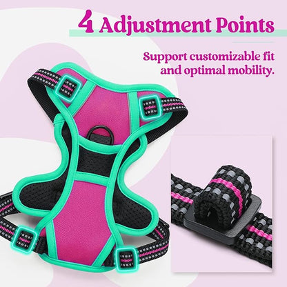rabbitgoo Dog Harness No Pull with 2 Leash Clips, Adjustable Soft Padded, Reflective Oxford No Choke Pet Vest with Easy Control Handle for Large Dogs, Hot Pink & Turquoise, XS