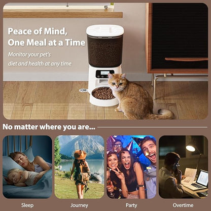 Automatic Cat Feeder, 4L Timed Dry Food Dispenser with Stainless Steel Bowl, Pet Food Feeder for Cats & Small Dogs, Programmable for 6 Meals & 30 Portions Per Day, 10S Voice Record, Dual Power, White
