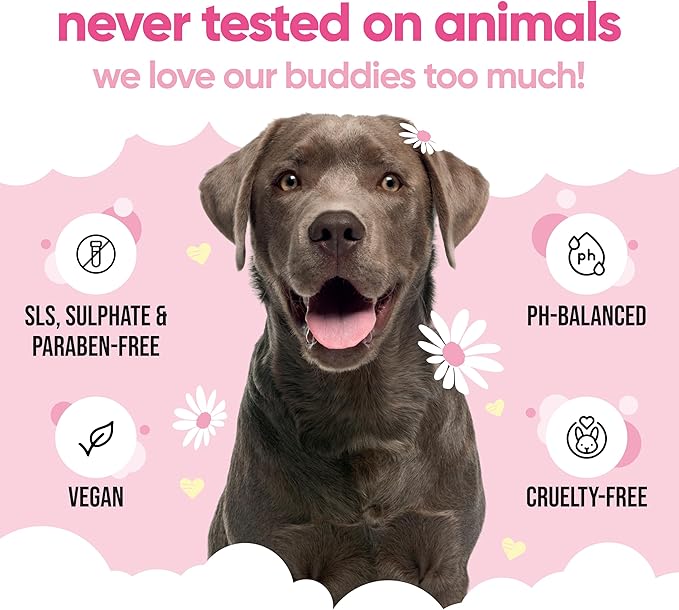 Baby Fresh Dog Shampoo by Buddycare | Deep Cleansing Shampoo for Dogs | Fresh Scented | with Aloe Vera and Pro Vitamin B5 (16.90oz)