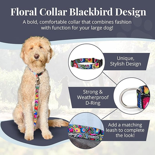 Lucky Love Dog - Adjustable Dog Collar with Easy Click Buckle for Small to Large Dogs, Durable, & Comfortable Collar for Male & Female Dogs, Pet Collar for Puppies & Adult Dogs - Blackbird, Large