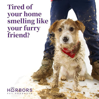 Harbors Pet Cologne Bundle - Clean Cool Water, Evergreen Ocean Breeze, and Cuban Nights