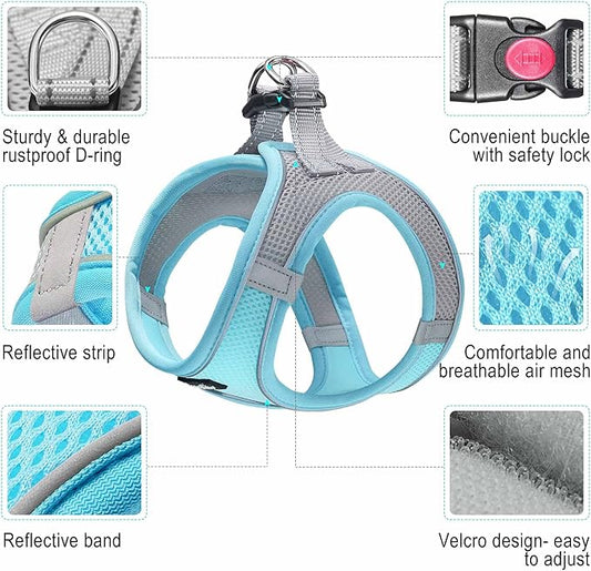 haapaw Dog Harness with Leash Set, No Pull Adjustable Reflective Step-in Puppy Harness with Thickened Padded Vest for Extra-Small/Small Medium Dogs