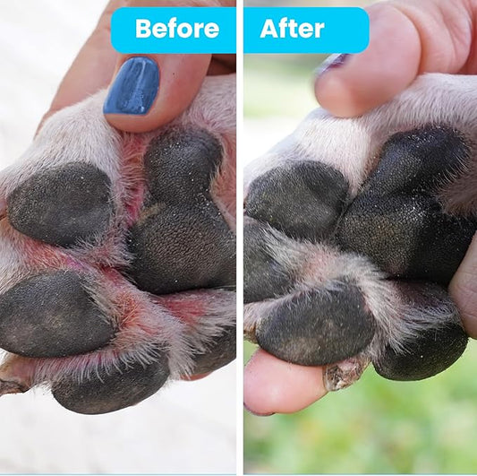 Pawtitas Paw Balm for Dogs Manufactured with Certified Organic Herbs Moisturizer for Cracked Burn Pads, Paw Balm Can 1.75 oz / 52 ml