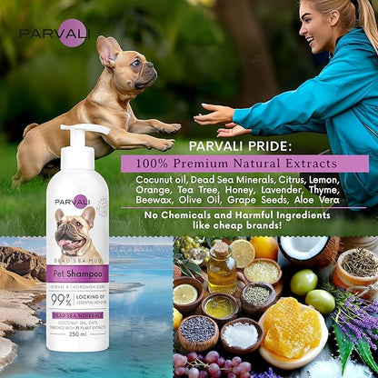 Natural Dead Sea Mud Bath Dog Shampoo (250 ml, 8.45 fl oz). A Purifying Anti-Itching Gentle Skin and Coat Care Formula. Minerals Rich, Long-Lasting Perfume, Easy Application. Enjoy!
