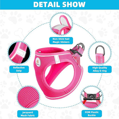 Dog Harness and Leash Set, No Pull Soft Mesh Puppy Harness for Small Medium Dogs, Cats - Step in Reflective Breathable Lightweight Vest Harness for Walking, Training - Rose Red, M