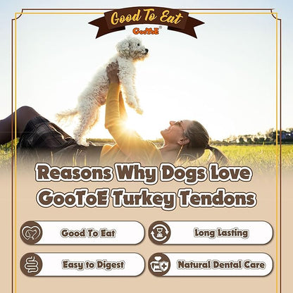 Gootoe Turkey Tendon Dog Treats, Ring (S) 1 lb, USA-Sourced Turkey Tendon, Natural Snack, Premium Puppy Chews, Hypoallergenic, Rawhide Free, Reseal Value Bag, Size for Small Dogs