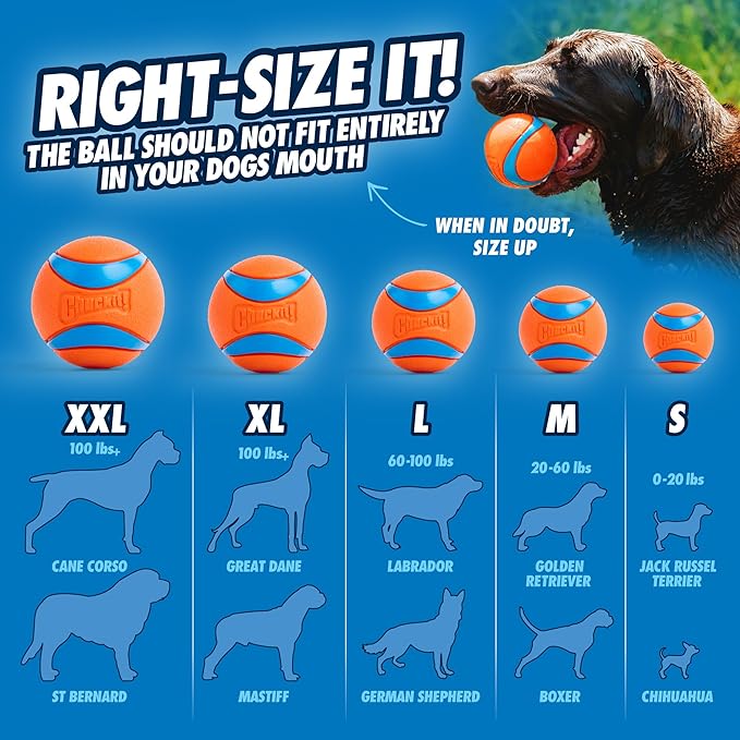Chuckit! Dog Ball Launcher - Classic 26" with Medium (2.5"), Dog Fetch Ball Thrower, For Dogs 20-60 Pounds, Made in USA
