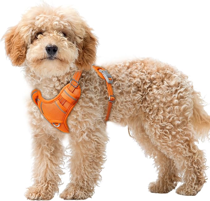 BARKBAY No Pull Dog Harness Large Reflective Dog Harness with Front Clip and Easy Control Handle for Walking Training Running with ID tag Pocket(Orange,XS)