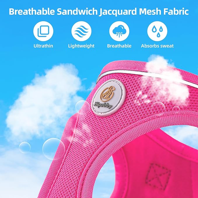 Dog Harness and Leash Set, No Pull Soft Mesh Puppy Harness for Small Medium Dogs, Cats - Step in Reflective Breathable Lightweight Vest Harness for Walking, Training - Rose Red, L