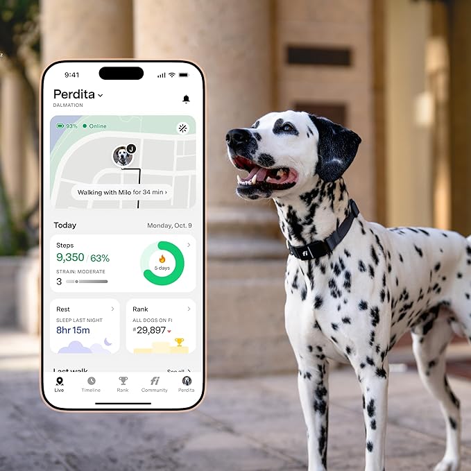 New Fi Series 3+ Smart Dog Tracker Collar – AI GPS for Dogs, Health & Behavior Monitor, Virtual Fence, Escape Alerts, Waterproof, Apple Watch Compatible [12Mo Membership Included] (Pink, Medium)