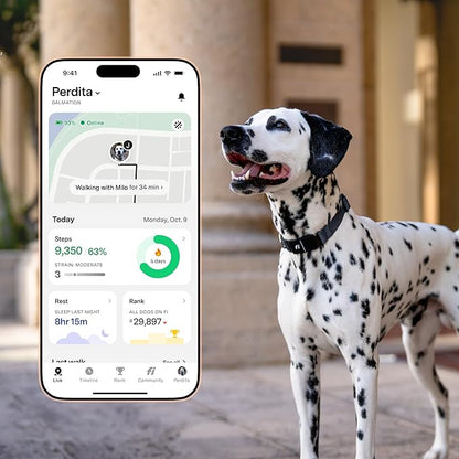 New Fi Series 3+ Smart Dog Tracker Collar – AI GPS for Dogs, Health & Behavior Monitor, Virtual Fence, Escape Alerts, Waterproof, Apple Watch Compatible 12Mo Membership Included