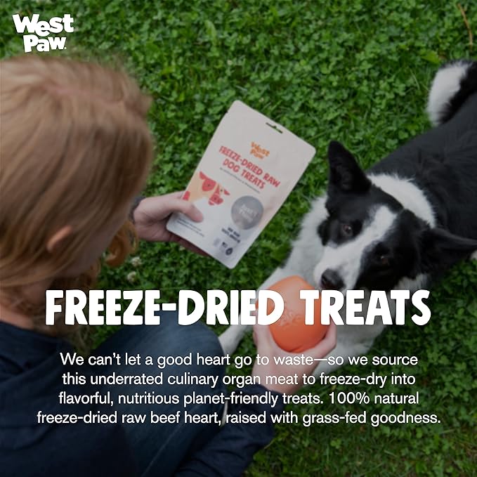 WEST PAW Freeze-Dried Raw All Natural Dog and Puppy Training Treats, Single Ingredient, Humanely Raised and Sustainably Sourced, Made in USA, Beef Heart, 2 Pack