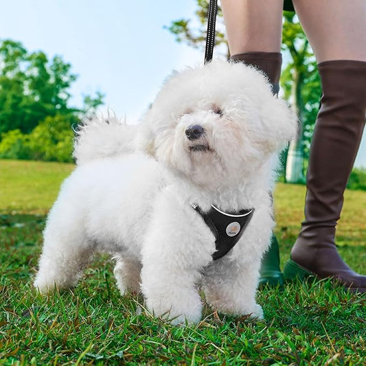 Dog Harness and Leash Set, No Pull Soft Mesh Puppy Harness for Small Medium Dogs, Cats - Step in Adjustable Reflective Pet Harness with Buckle and Double D-Rings - Black, XS