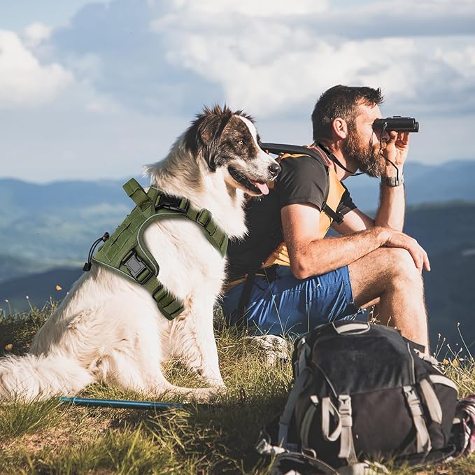 WINGOIN Green Tactical Dog Harness for Medium Dogs, Heavy Duty No Pull Dog Harness with Handle, Adjustable Reflective Military K9 Pet Vest for Pitbull, Female, Male, Walking, Training, Hunting (M)