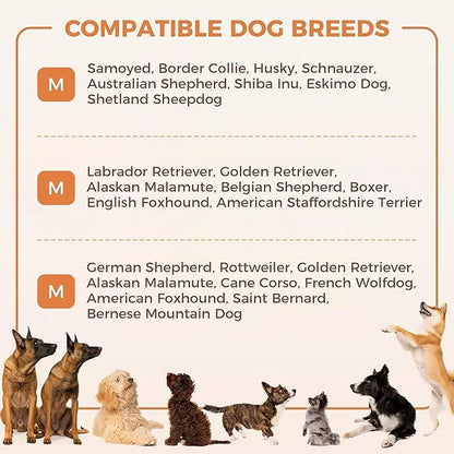 Dog Hip Support Brace - Adjustable Dog Leg Brace for Hip Dysplasia/Arthritis/Pain Relief, Warm & Breathable Luxating Patella Stabilizer, Post-Surgery Recovery for Medium Large Dogs (XL)