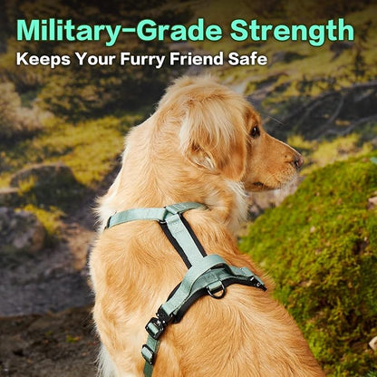 PawsPassion Dog Harness for Large Dogs, No Pull Dog Harness Easy Walk with Metal Hardware, Ergonomic Y-Shaped Design, Soft Padding, Padded Handle, Durable High-Tensile Nylon (Seabreeze, L)