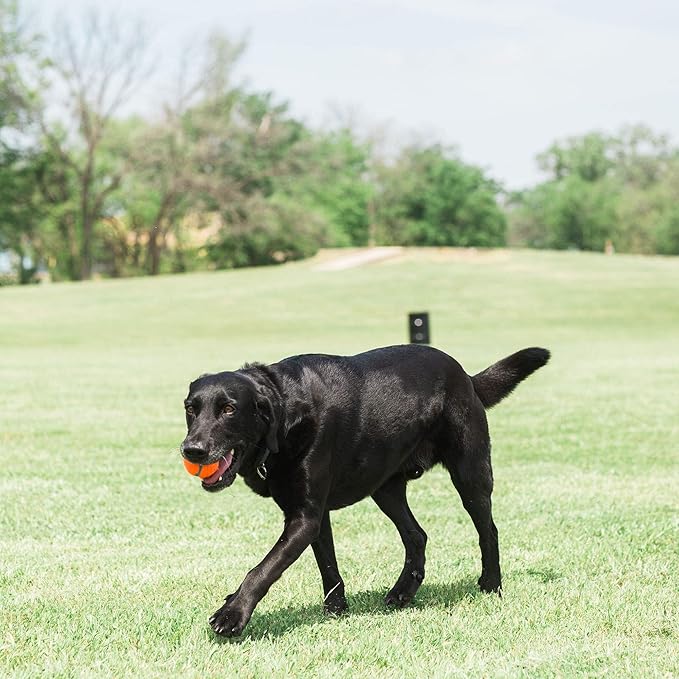 Chuckit! Dog Tennis Ball Dog Toy, Medium (2.5 Inch Diameter) for dogs 20-60 lbs, Shrink Wrap Pack of 2