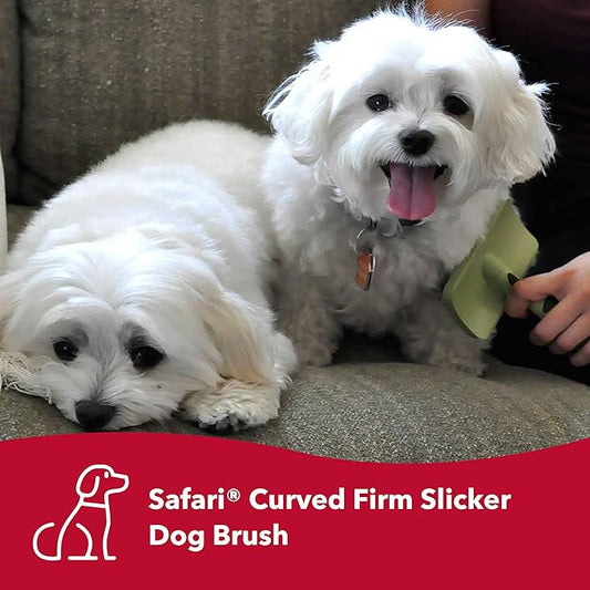 Coastal Pet Safari Curved Firm Slicker Brush - For Dog Grooming and Detangling All Hair Types - 6.5" x 3.06"
