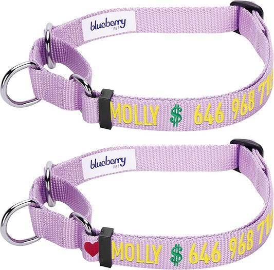 Blueberry Pet Essentials Personalized Martingale Safety Training Dog Collar, Lavender, Large, Adjustable Customized ID Collars for Dogs Embroidered with Pet Name & Phone Number