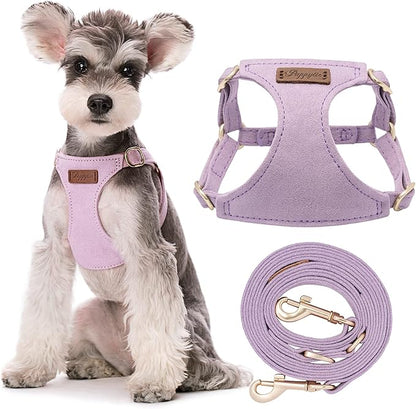 Puppytie No Pull Small Dog Harness with Multifunction Dog Leash,Lightweight Soft Adjustable No Choke Escape Proof Pet Harness Vest Pet Harness Vest,Light Purple,S