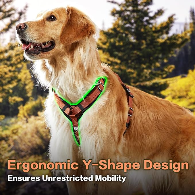 PawsPassion Dog Harness for Large Dogs, No Pull Dog Harness Easy Walk with Metal Hardware, Ergonomic Y-Shaped Design, Soft Padding, Padded Handle, Durable High-Tensile Nylon (Canyon Red, L)