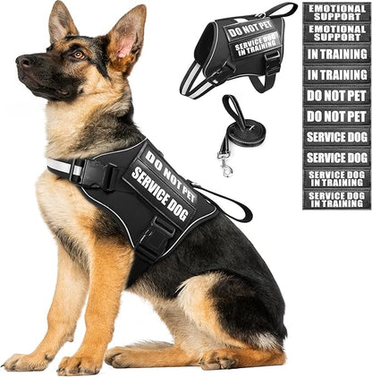 Service Dog Vest Harness and Leash Set+10 Patches,No Pull&Easy Walk Reflective Dog Harness with Soft Padded Handle for Training/Everyday,Fit Small/Medium/Large/Extra-Large Dogs(Black XL)
