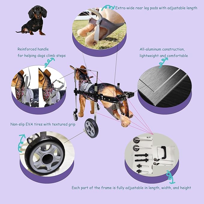 Dog Wheelchair,Lightweight Aluminum Frame with Handle,Extended Leg Straps,Includes Leash,Fits Pugs,French Bulldogs,and Schnauzers（Middle Size）/Beagle,Corgi,and Cocker Spaniel（Large Size）