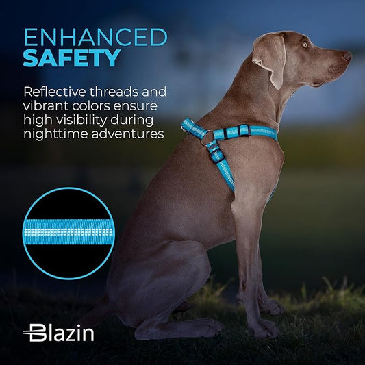 BLAZIN Reflective Dog Harness - 'Color Me Happy!' Adjustable Step-in Reflective Nylon Vest Harness - Neoprene Padded for Extra Comfort (X-Small, Blue)