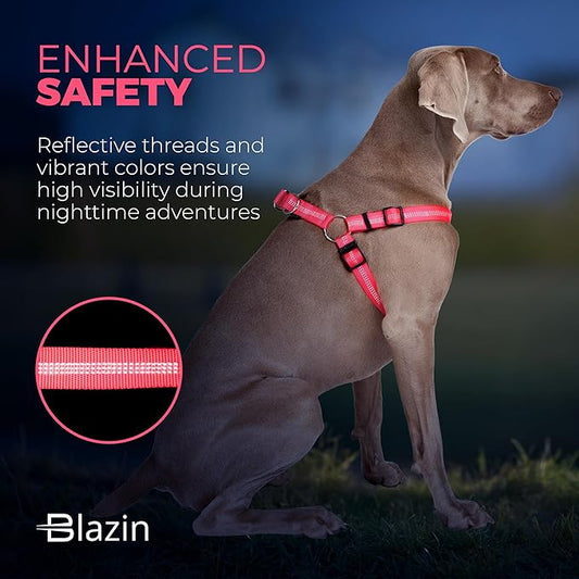 BLAZIN Reflective Dog Harness - 'Color Me Happy!' Adjustable Step-in Reflective Nylon Vest Harness - Neoprene Padded for Extra Comfort (Small, Pink)