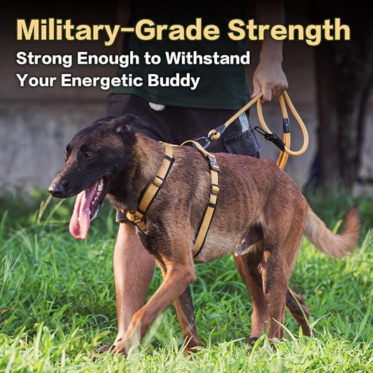 PawsPassion Dog Harness for Large Dogs, No Pull Dog Harness with Metal Hardware, Ergonomic Y-Shaped Design, Soft Padding, Padded Handle, Durable High-Tensile Nylon (Sunrise, L)