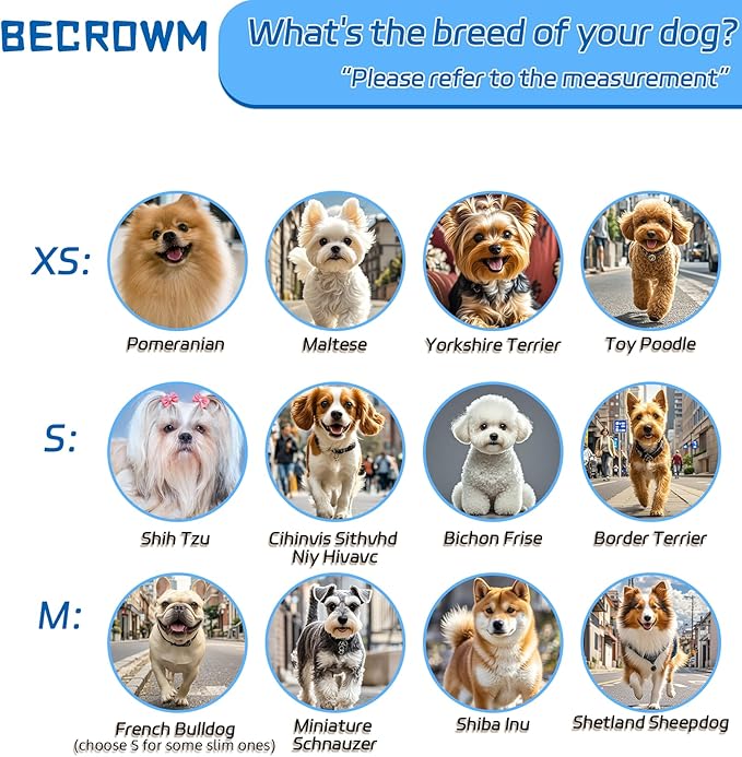 Small Dog Wheelchair for Back Legs, Light Weight Dog&Cat&Pets Wheelchair Cart with Disabled Hind Legs Walking, Adjustable Doggy Wheelchair Cart with Wheels for Back Legs