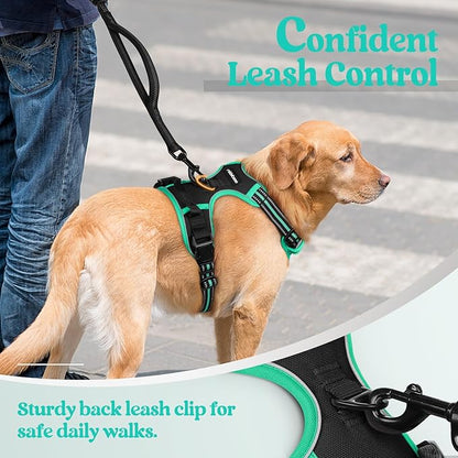 rabbitgoo Dog Harness No Pull with 2 Leash Clips, Adjustable Soft Padded, Reflective Oxford No Choke Pet Vest with Easy Control Handle for Medium Sized Dogs, Black & Turquoise, M