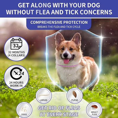 YOTANGO 4 Pack Flea Collar for Dogs, Dog Flea Collar Waterproof, 32 Months Prevention, Dog Fleas and Tick Treatment, Adjustable Fleas and Tick Protection for Dogs Puppy(Blue & Pink)
