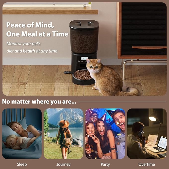 Automatic Cat Feeder, 4L Timed Dry Food Dispenser with Stainless Steel Bowl, Pet Food Feeder for Cats & Small Dogs, Programmable for 6 Meals & 30 Portions Per Day, 10S Voice Record, Dual Power, Black